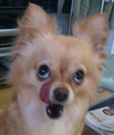 해외안전